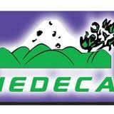 IEDECA
