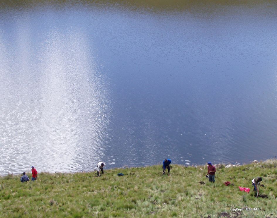 Gestión Ambiental - 