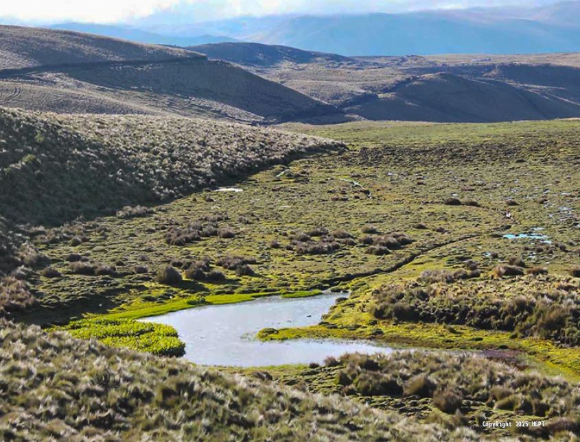 Calidad Ambiental -  