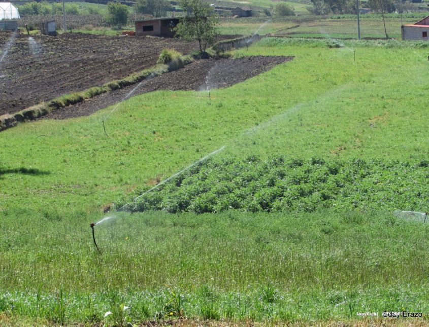 Tecnificación de Riego