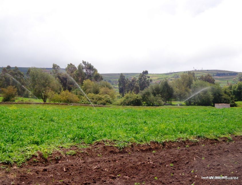 Canal de Riego Píllaro