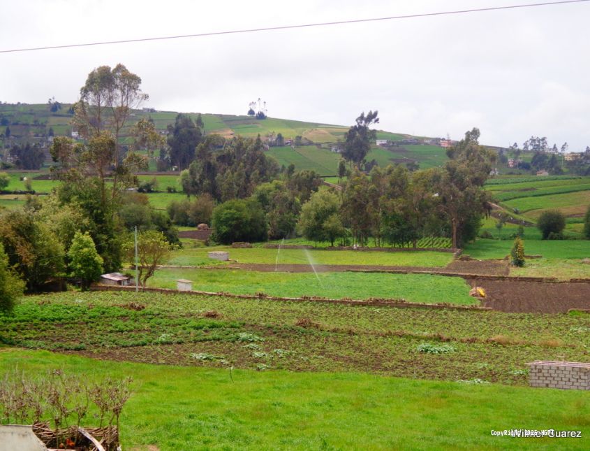 Canal de Riego Píllaro