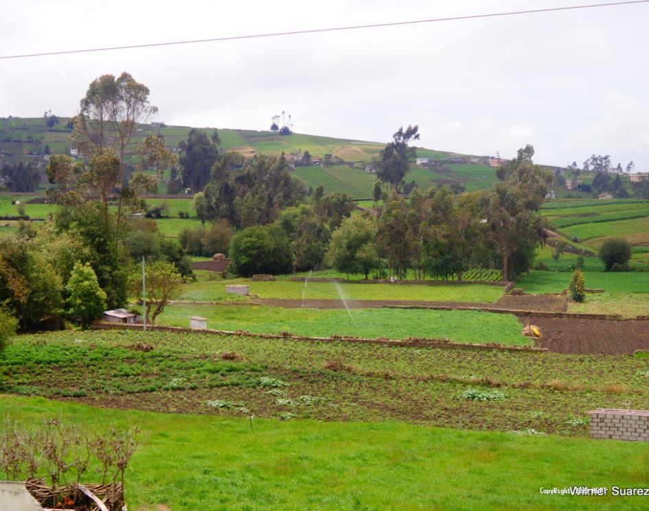 Canal de Riego Píllaro - 