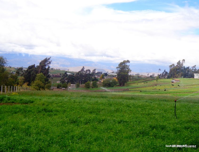 Ramal Norte Píllaro