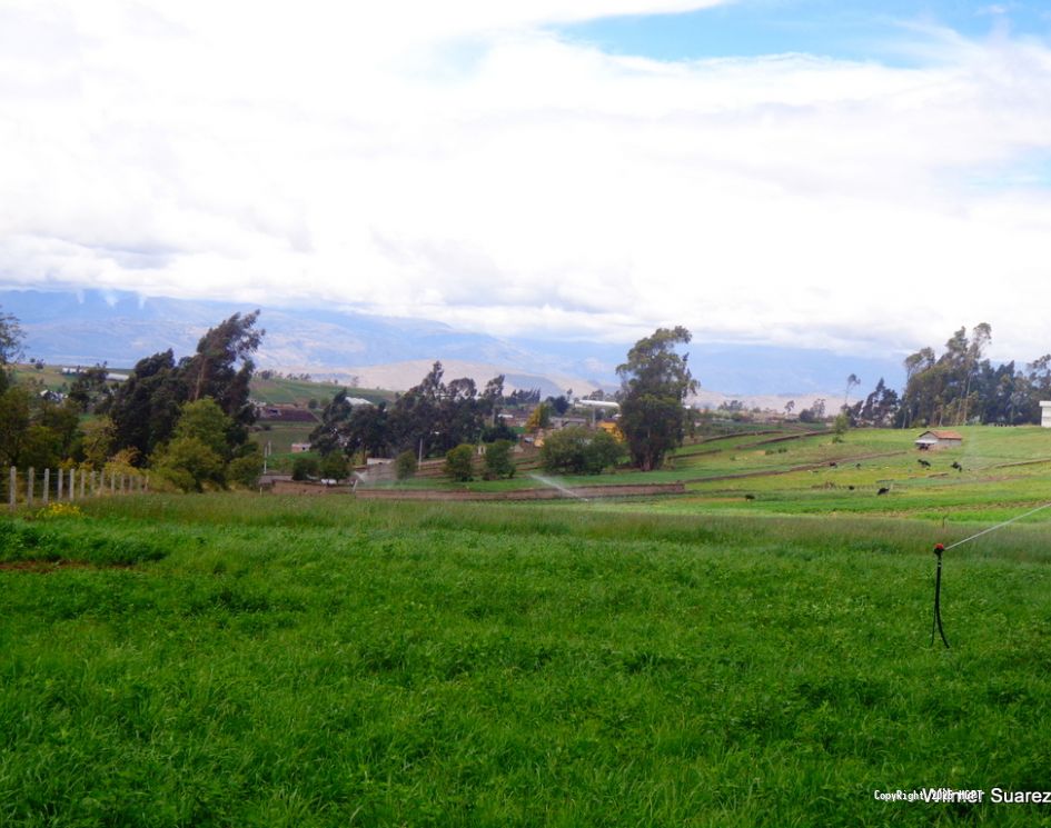 Ramal Norte Píllaro - 