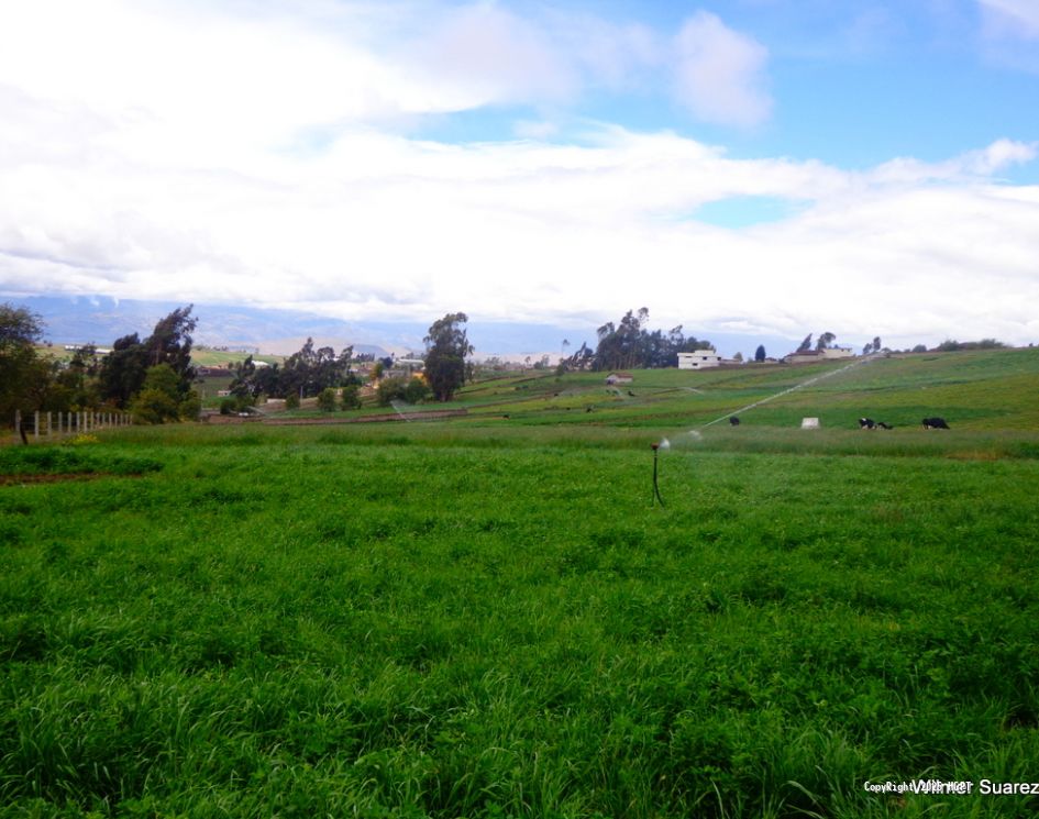 Ramal Norte Píllaro - 