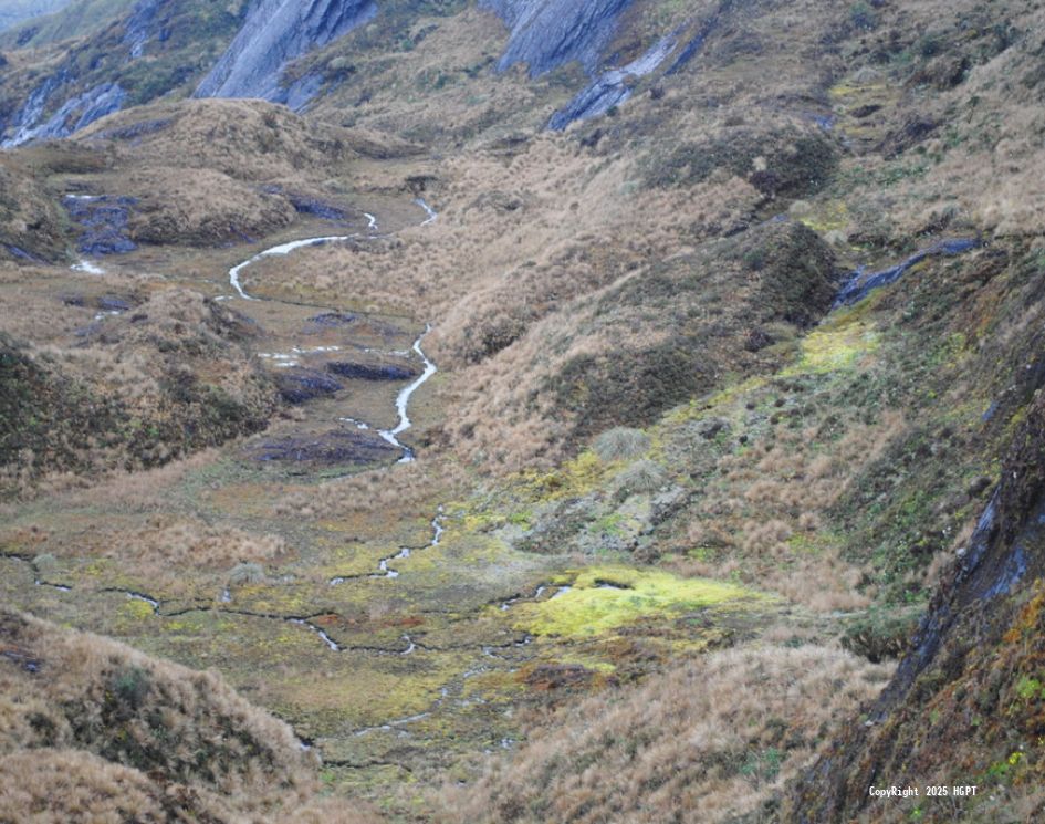 Paramos - 