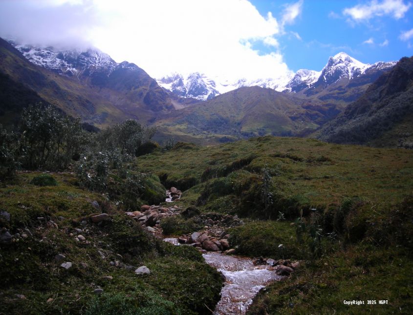 Gestión Ambiental