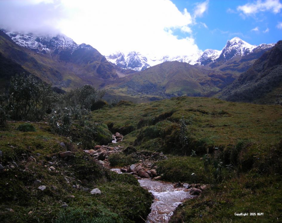 Gestión Ambiental - 