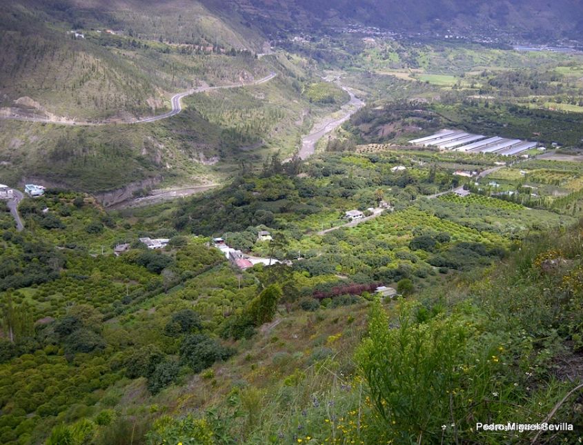 Cumplimiento Ambiental