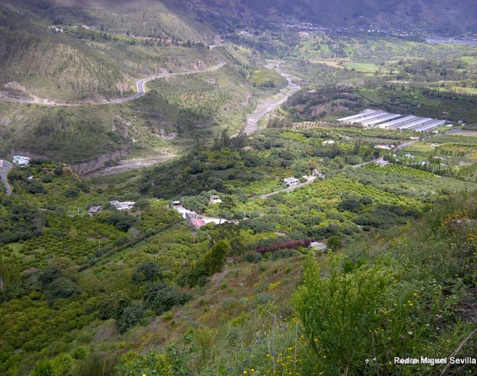 Cumplimiento Ambiental - 