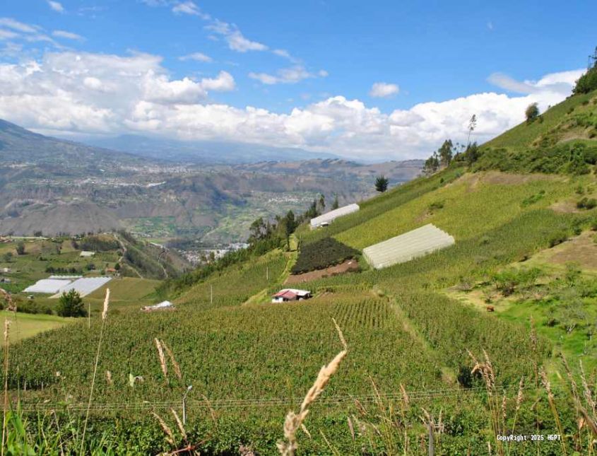 Cumplimiento Ambiental
