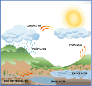 Precipitación