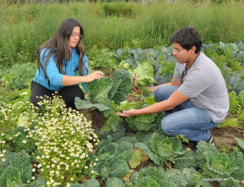 Siga la granja - Gastronomía con productos orgánicos, recorrer huertos agroecológicos y jardines naturales.