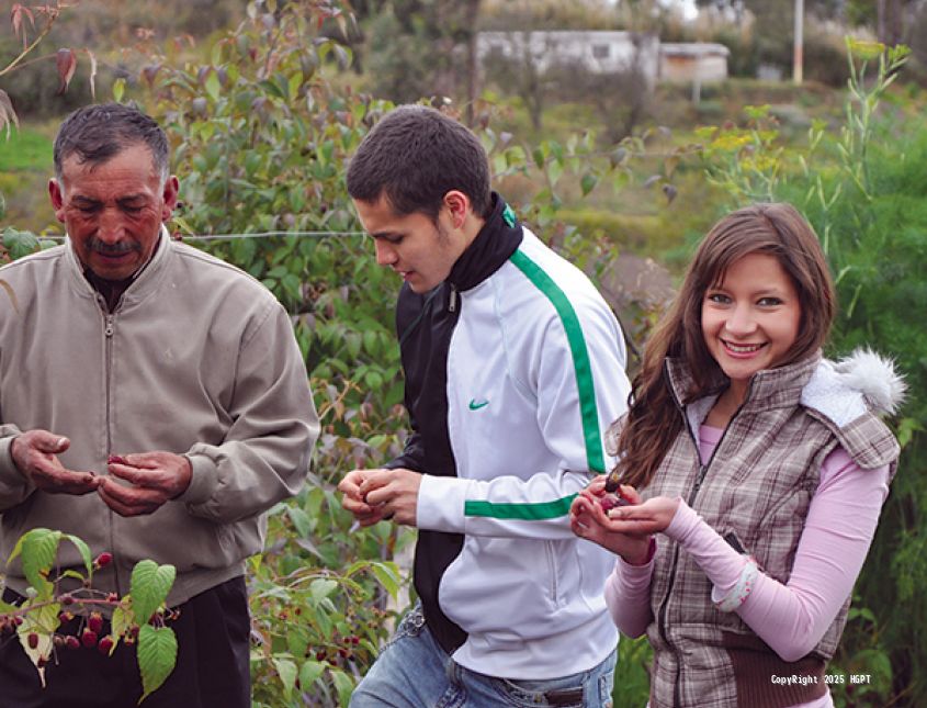 Huerto Corazón de Jesús - Compra y cosecha de frutas como: manzana, claudias y durazno.