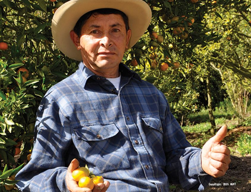 Asociación Agro ecológica San Rafael  - 