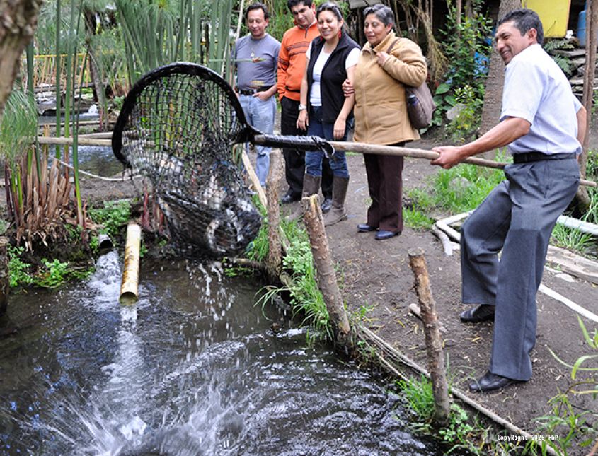 Complejo Turistico El Truchon  - Gastronomía en base a la trucha, pesca deportiva.