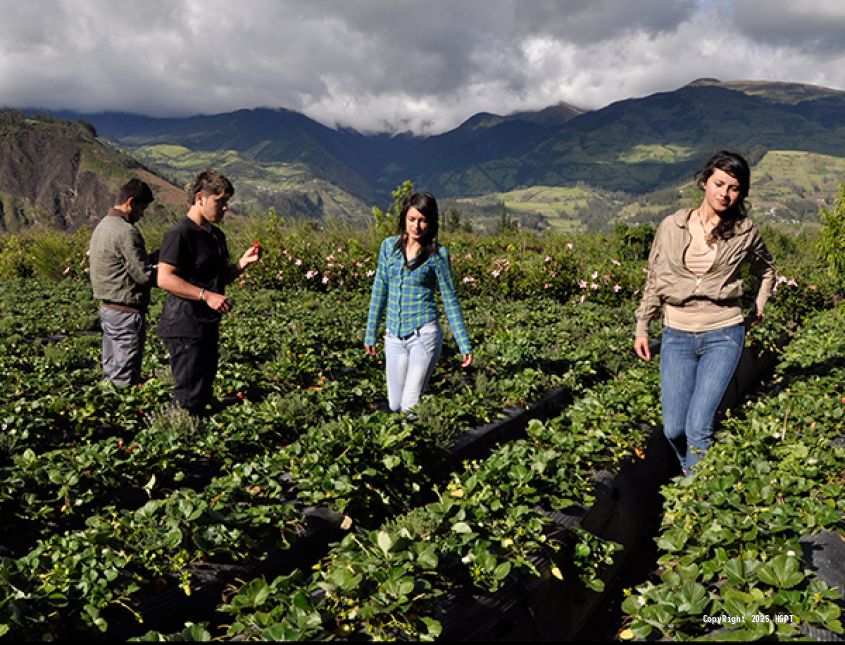 Granja Agroecologica Llano Blamco - 