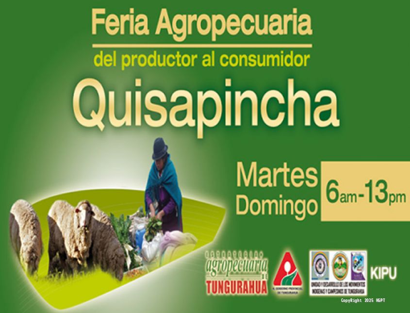 Feria Quisapincha. - 