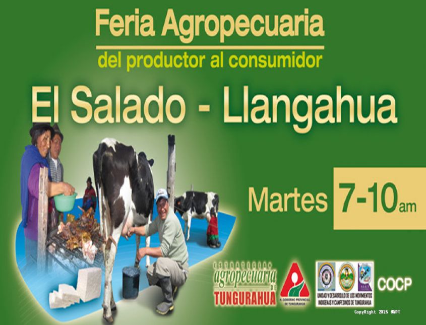 Feria El Salado. - 