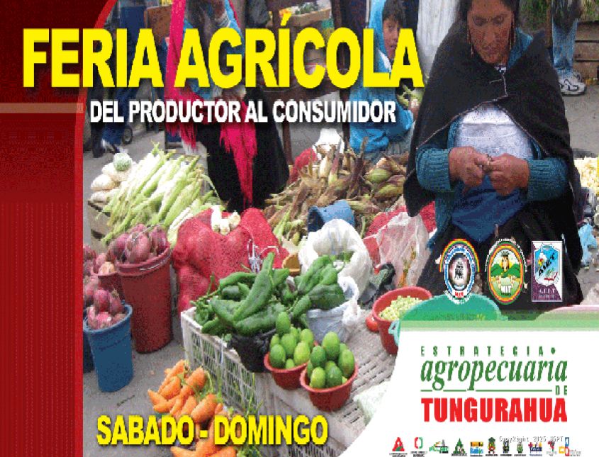 Feria Mercado América - 