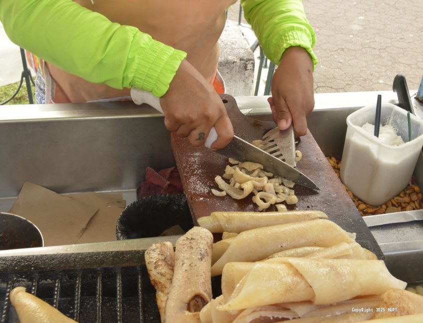 Asociación Reina de Agua Santa - 