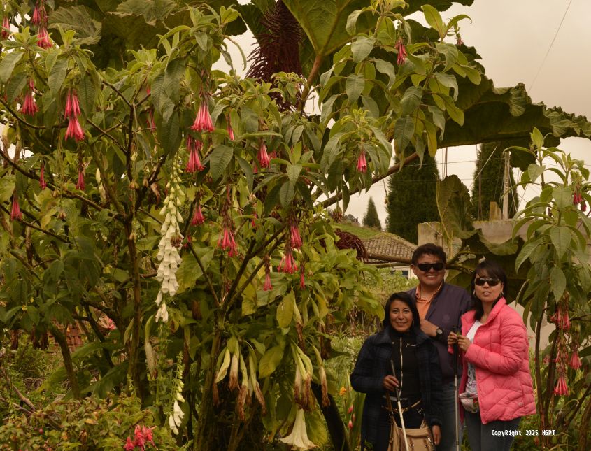 Granja Integral San Martín - 