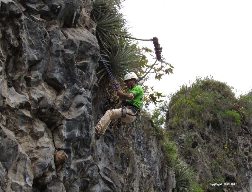 Escalada - 