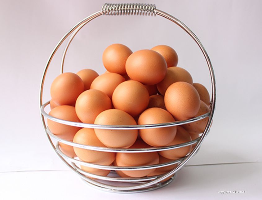 huevos 1 - 