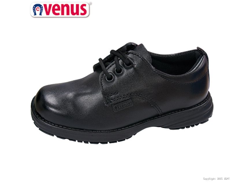 Zapatos best sale venus 2019