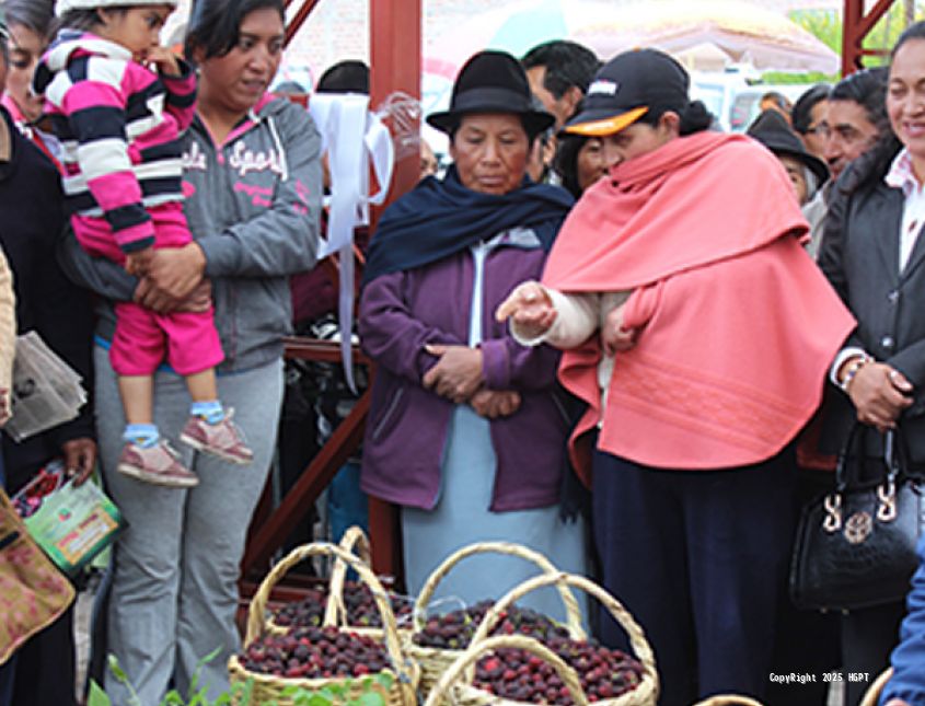 Feria Provincial de Mora y Fresa - 