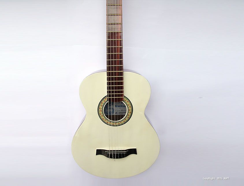 Guitarras Sait  - 