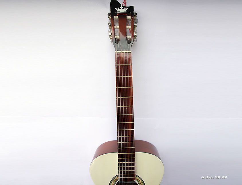 Guitarras Sait  - 